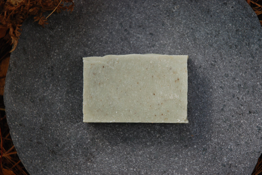 The organic Cedarwood and Sage soap bar sits on a stone plate in the shadow of ferns.