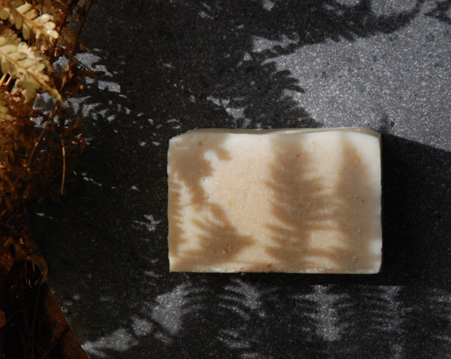 The Sensitive Skin Healing Honey soap bar sits in the shadows of a fern.