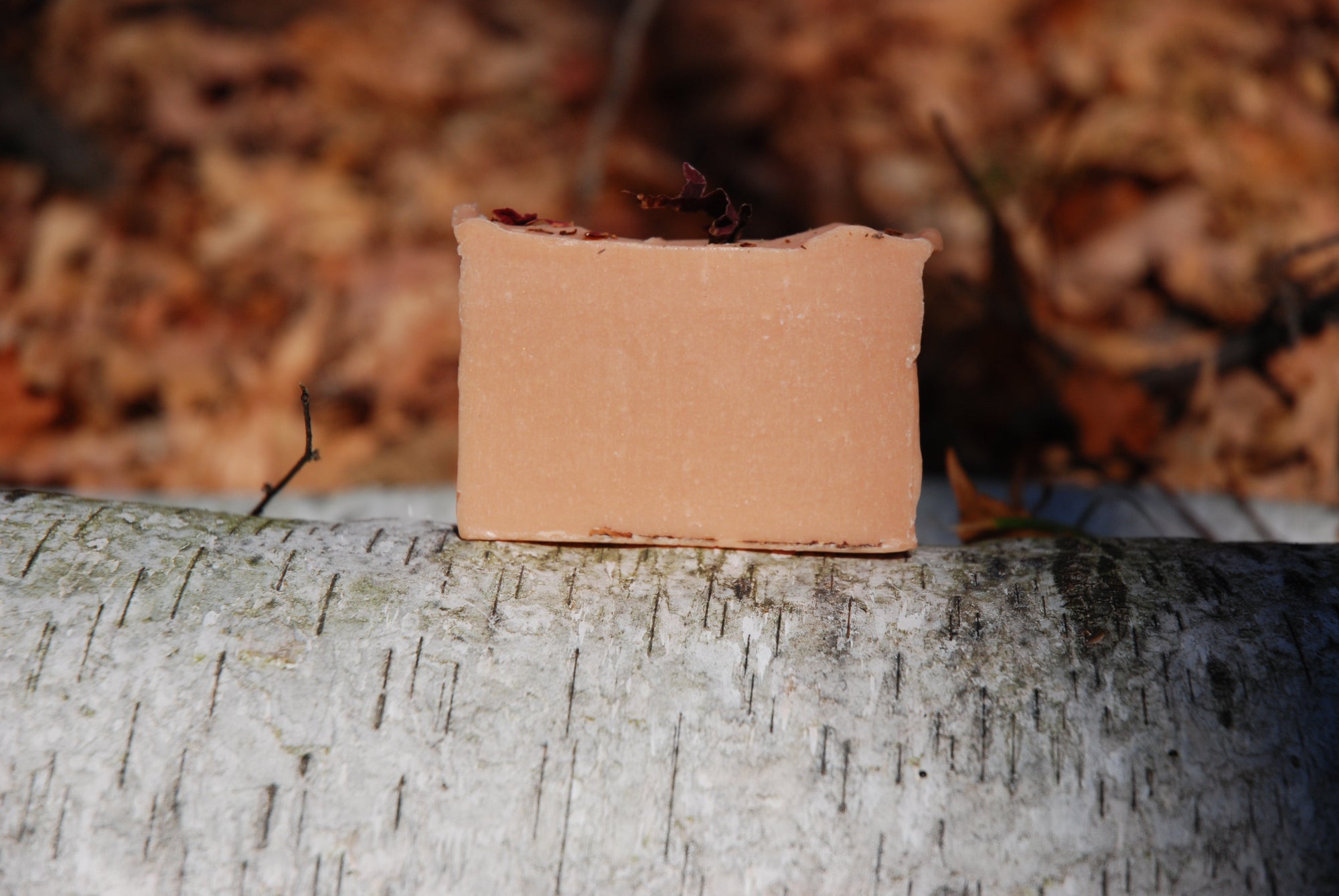 The cold-process soap bar, Rose Geranium, sits on a Silver Birch trunk in a forest in the fall. It&#39;s vibrant pink colour from the French Pink Clay highlighted against the white bark of the tree.
